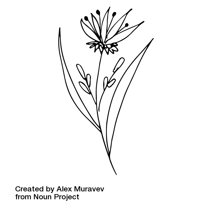 noun_Flower_1628985