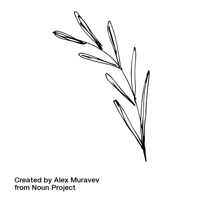 noun_Plant_1604458
