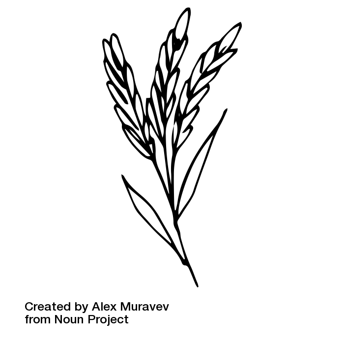 noun_Plant_1827954